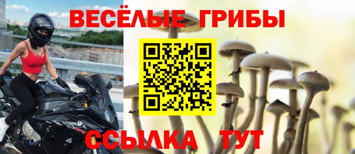 Галлюциногенные грибы ЛСД  Галлюциногенные грибы ЛСД  Люберцы 