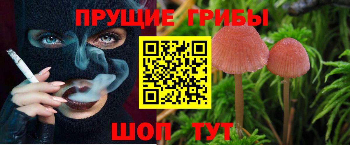 Люберцы  Псилоцибиновые грибы мицелий  Вход с VPN 