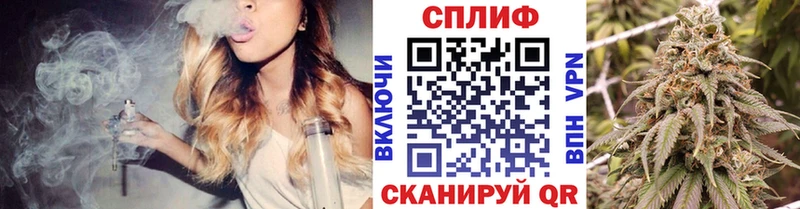 OMG ONION  Люберцы  МАРИХУАНА планчик 